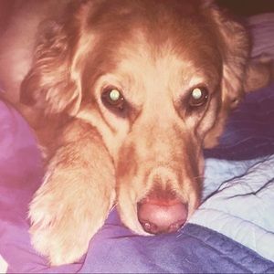 Meet your Posher, Stacey